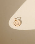 14k gold fill disk with horseshoe stamped on a light background