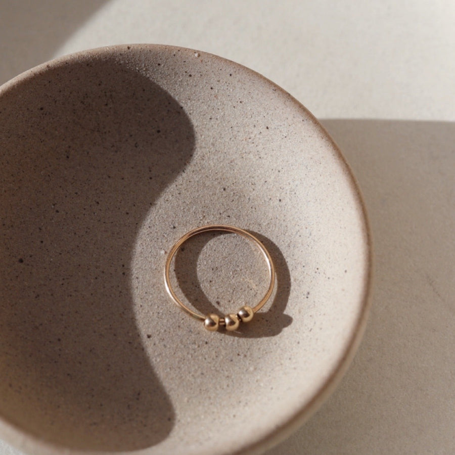 Meridian Fidget Ring - Token Jewelry 