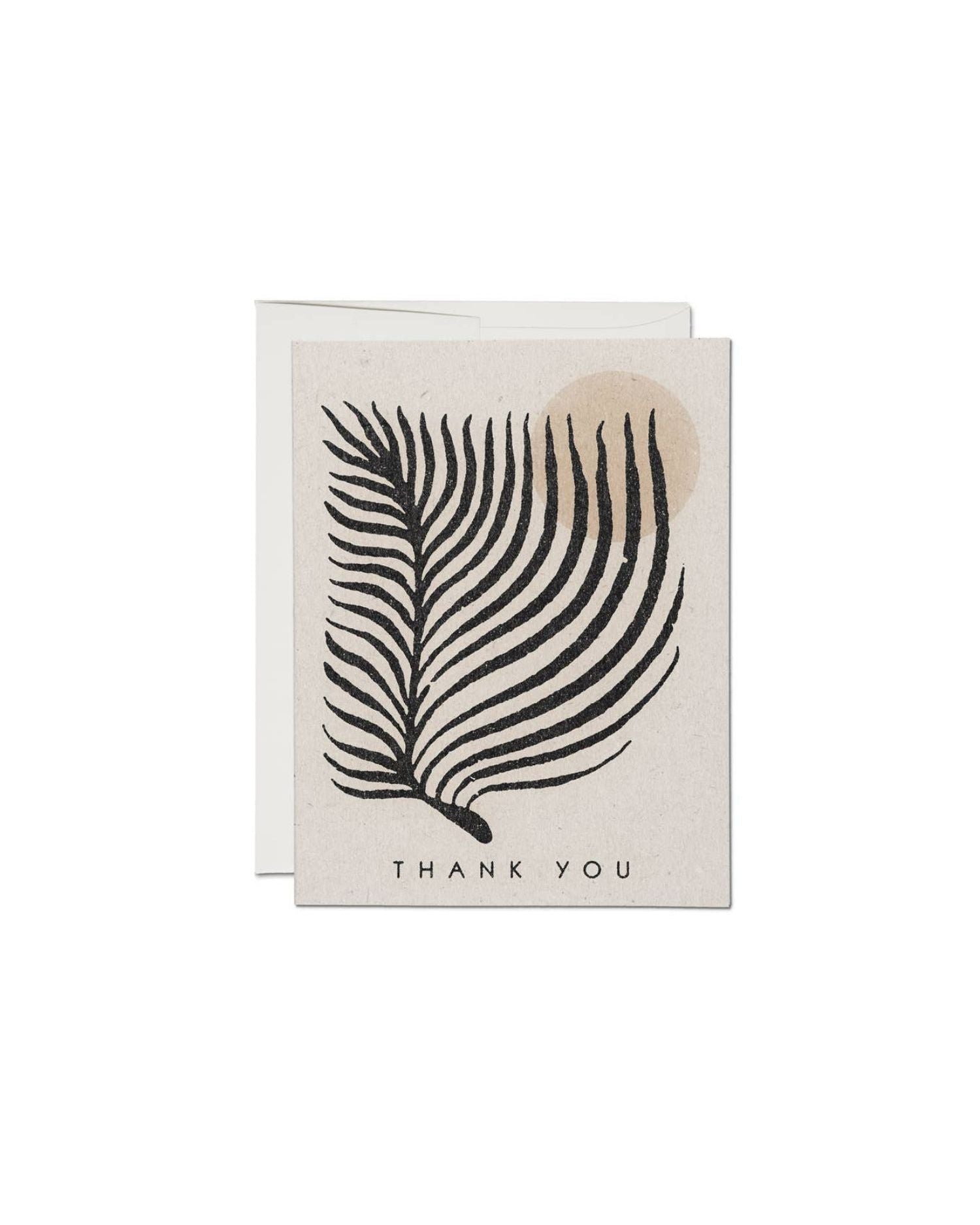Palm Sun Thank You Card